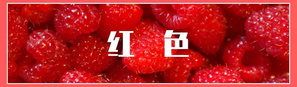 大气红色网站制作