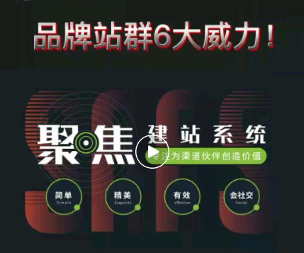 站群和群站是什么